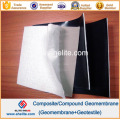 Geotextil Compuesto Compuesto Geocompuesto LDPE HDPE LLDPE Geomembranas